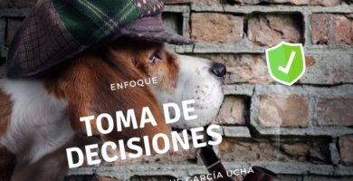 Toma de Decisiones